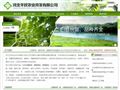 白蜡树苗培植基地